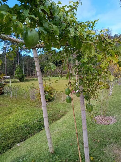 Sitio Paraiso Verde Жукитиба Экстерьер фото